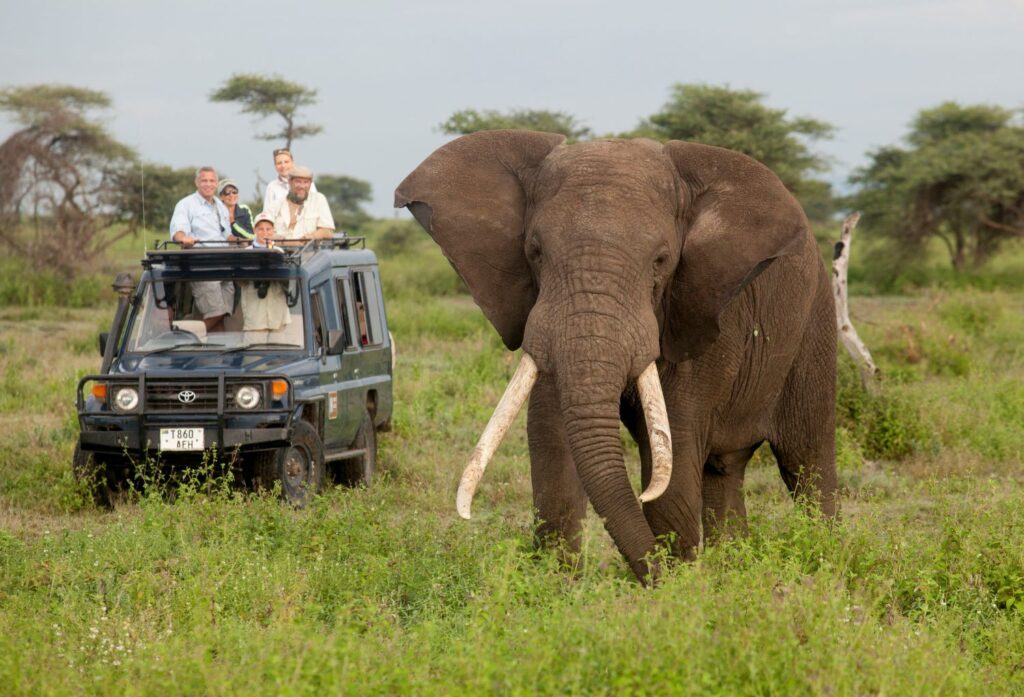 Planning Your Dream Family Safari in 2025