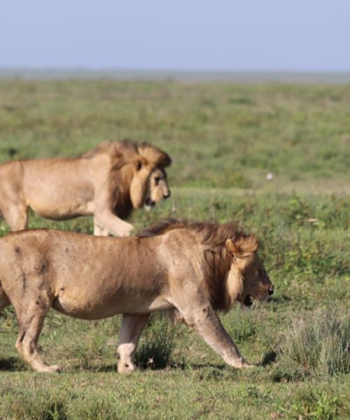 WhatsApp Image 2025-03-06 at 09.08.57(2)